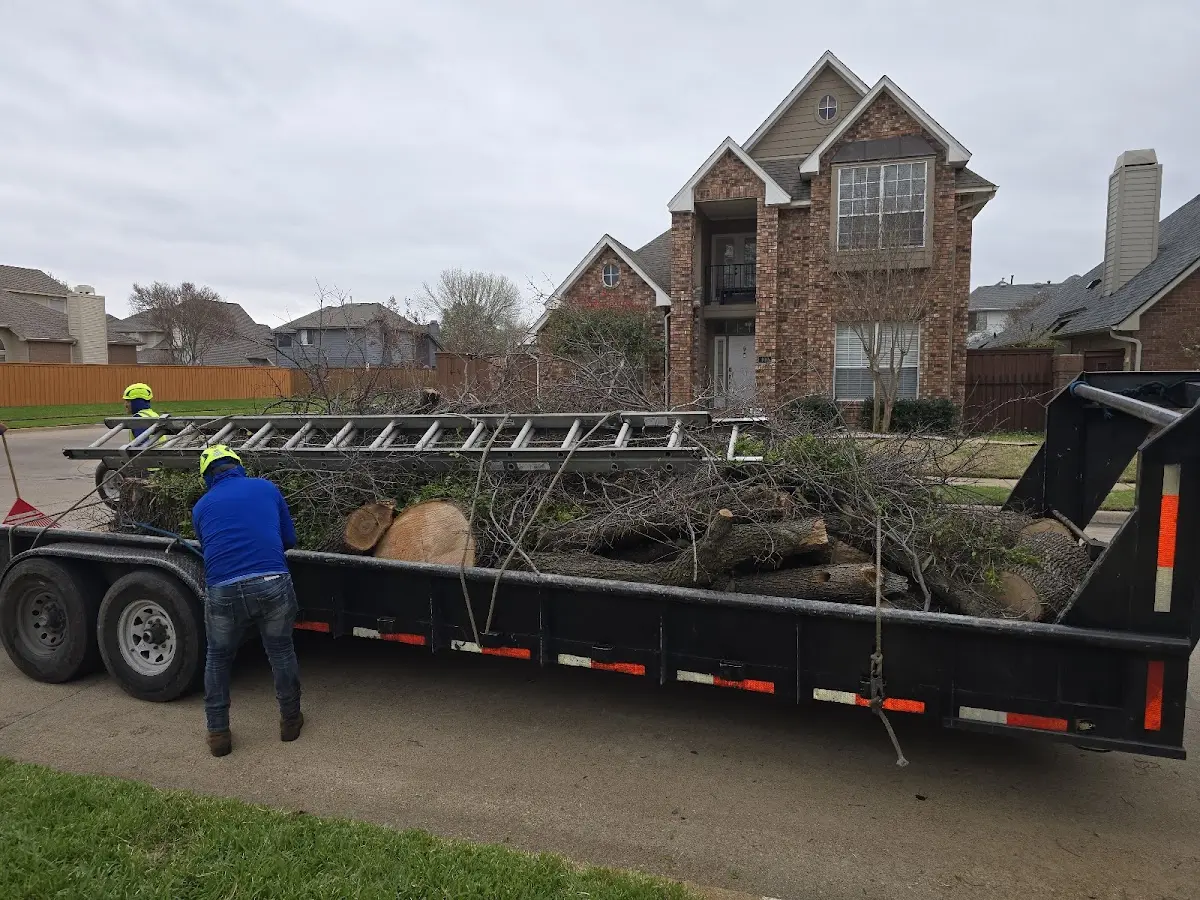 Expert Tree Fertilization with proper safety equipment in Fredericksburg